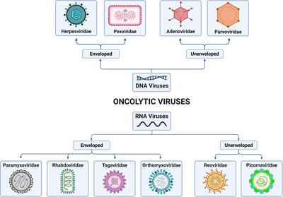 <mark class="highlighted">Immunovirotherapy</mark> for Pediatric Solid Tumors: A Promising Treatment That is Becoming a Reality